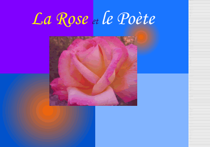 Image Le poète et la rose